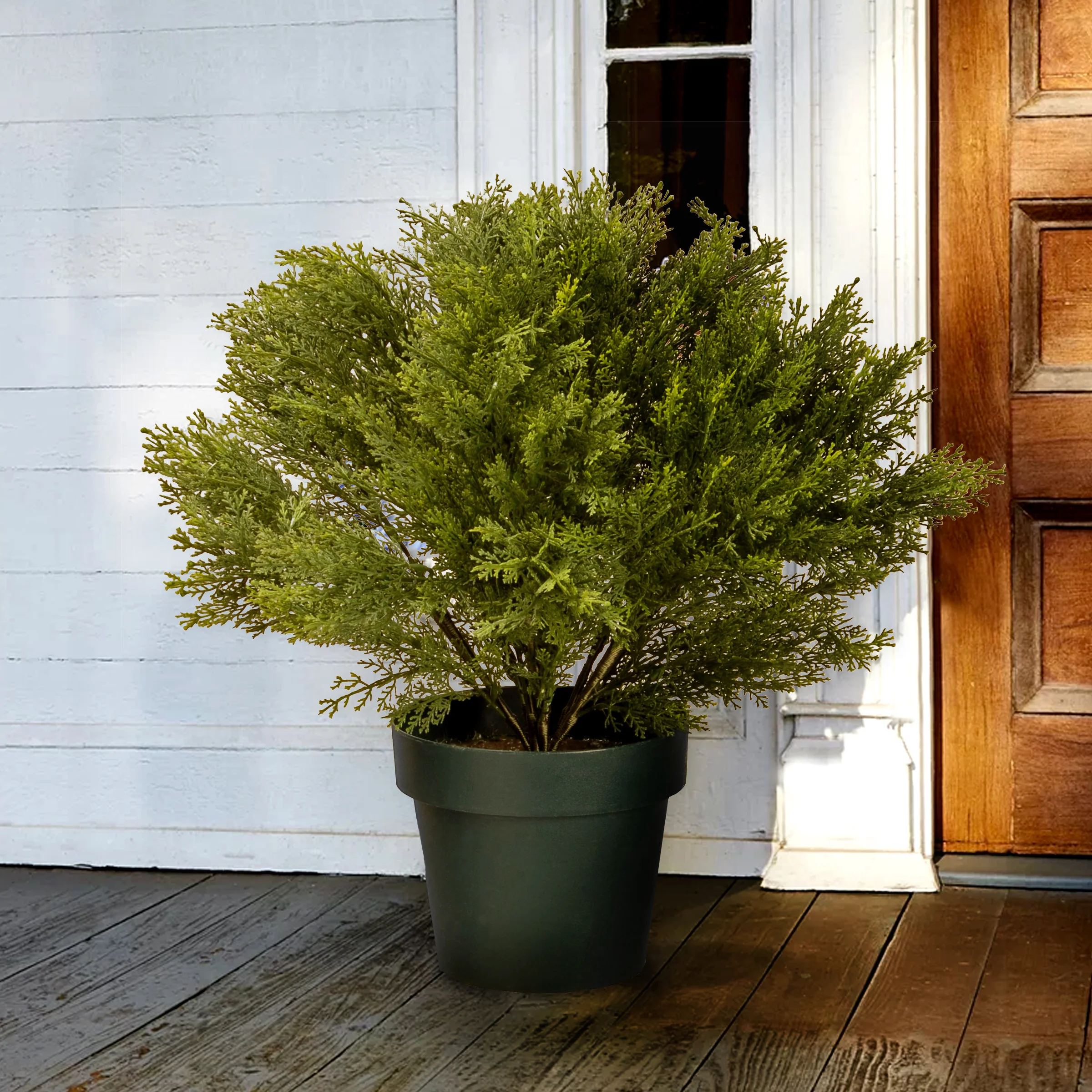 22 in. Globe Cedar Topiary Tree with Dark Green Round Growers Pot - Image 2