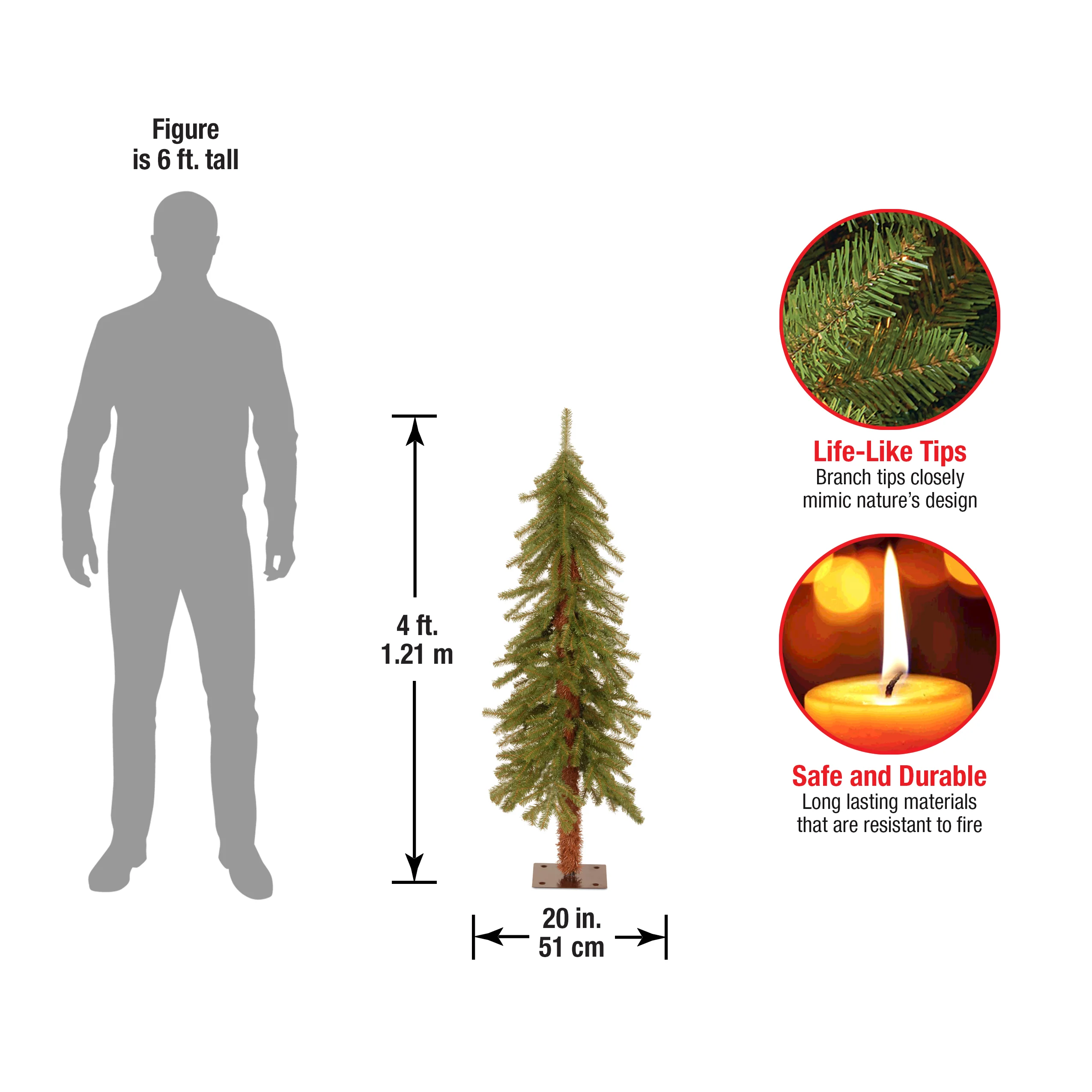 4 ft. Hickory Cedar Tree - Image 10