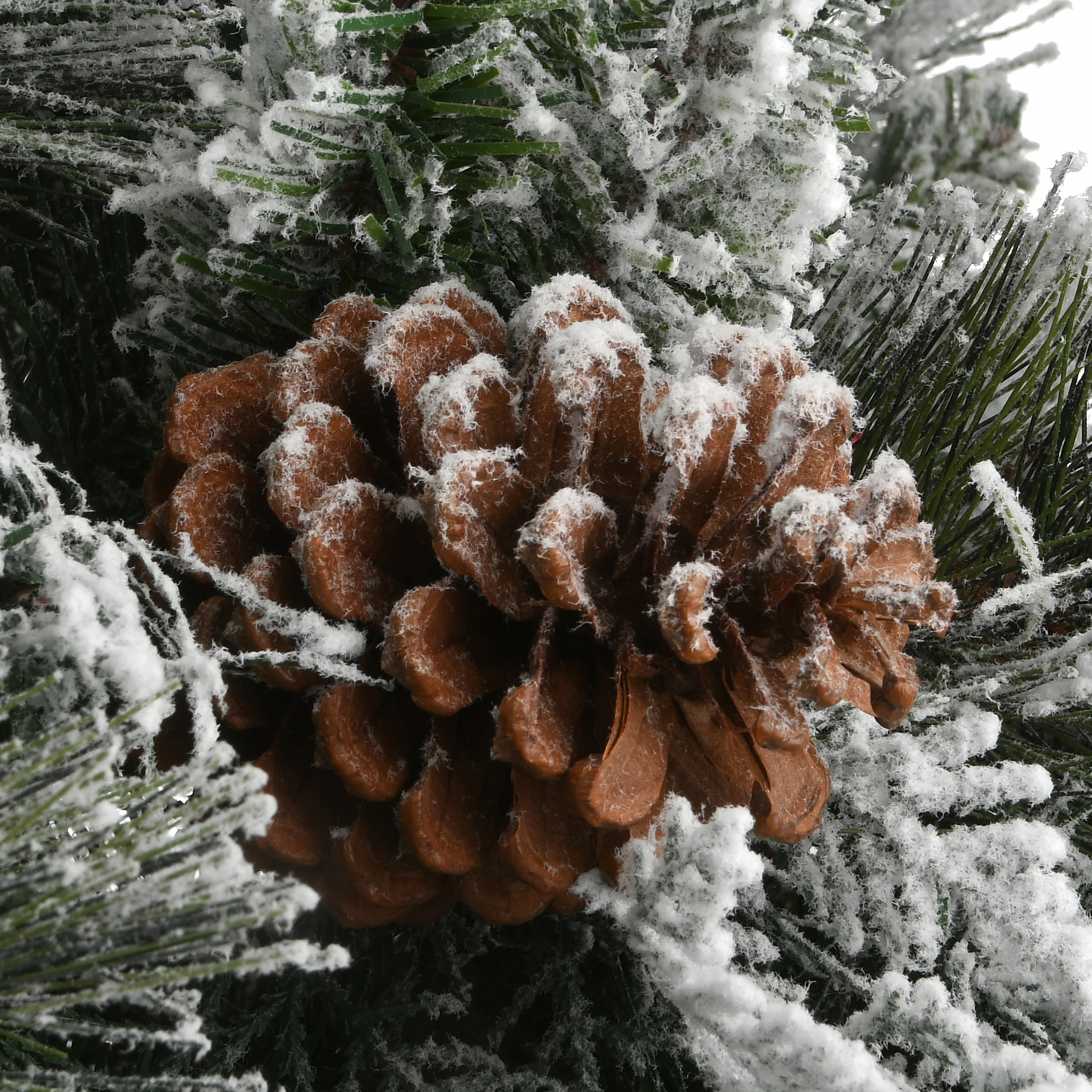 4 ft. Pre-Lit Snowy Bedford Pine Tree with Clear Lights, Plug-In - Image 4