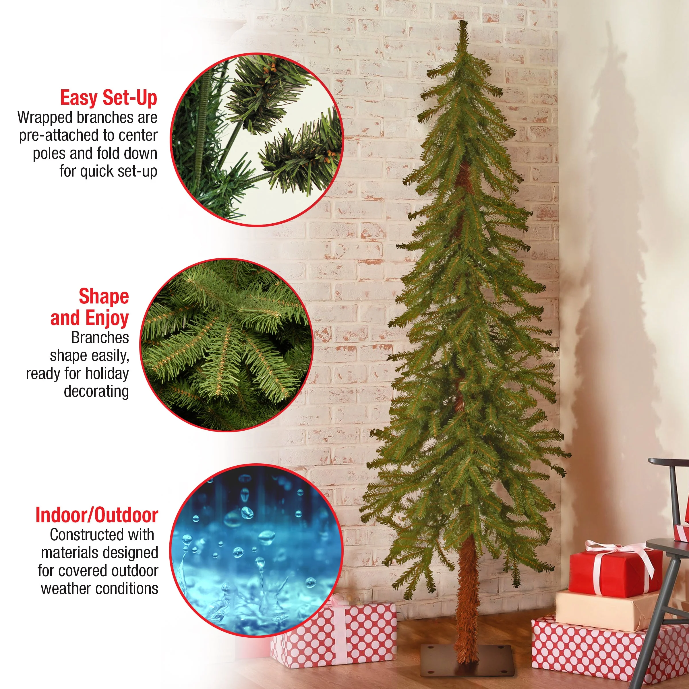 5 ft. Hickory Cedar Tree - Image 5