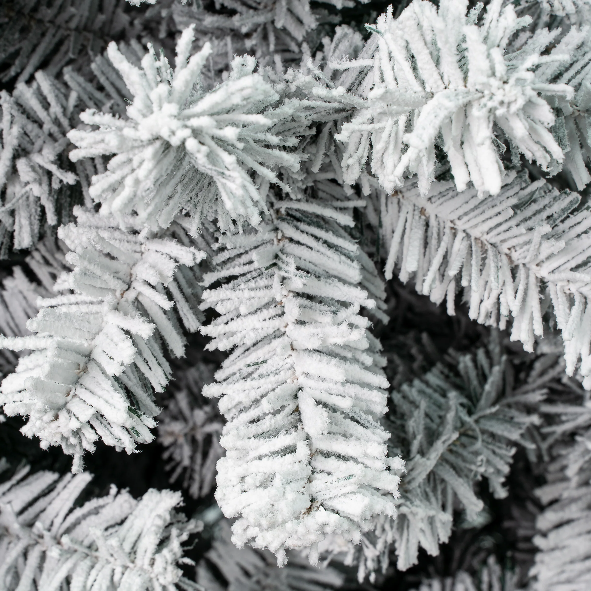 6 ft. Acacia Medium Flocked Tree - Image 3