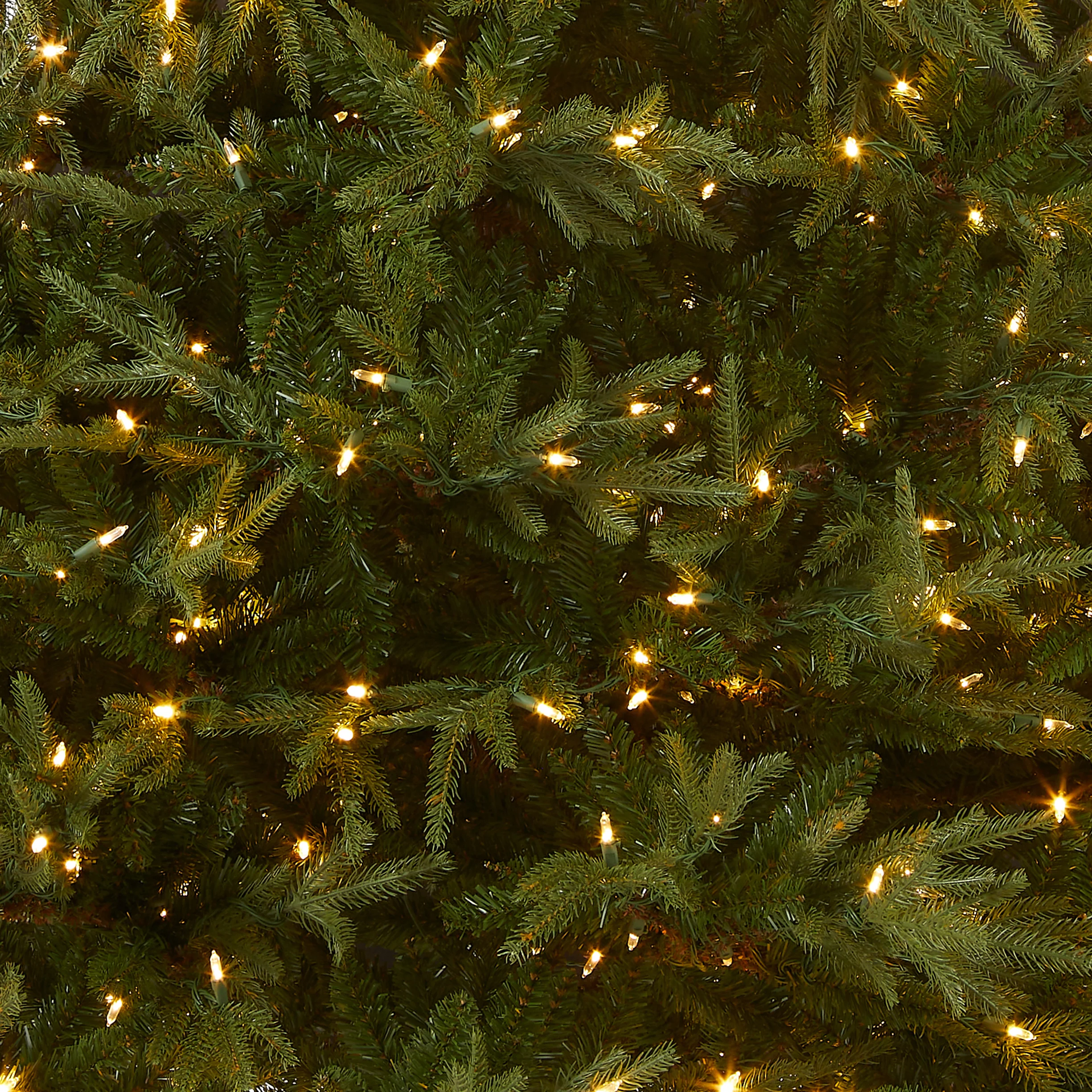 6 ft. Pre-Lit Fraser Grande with Dual Color LED Lights, Plug-In - Image 3