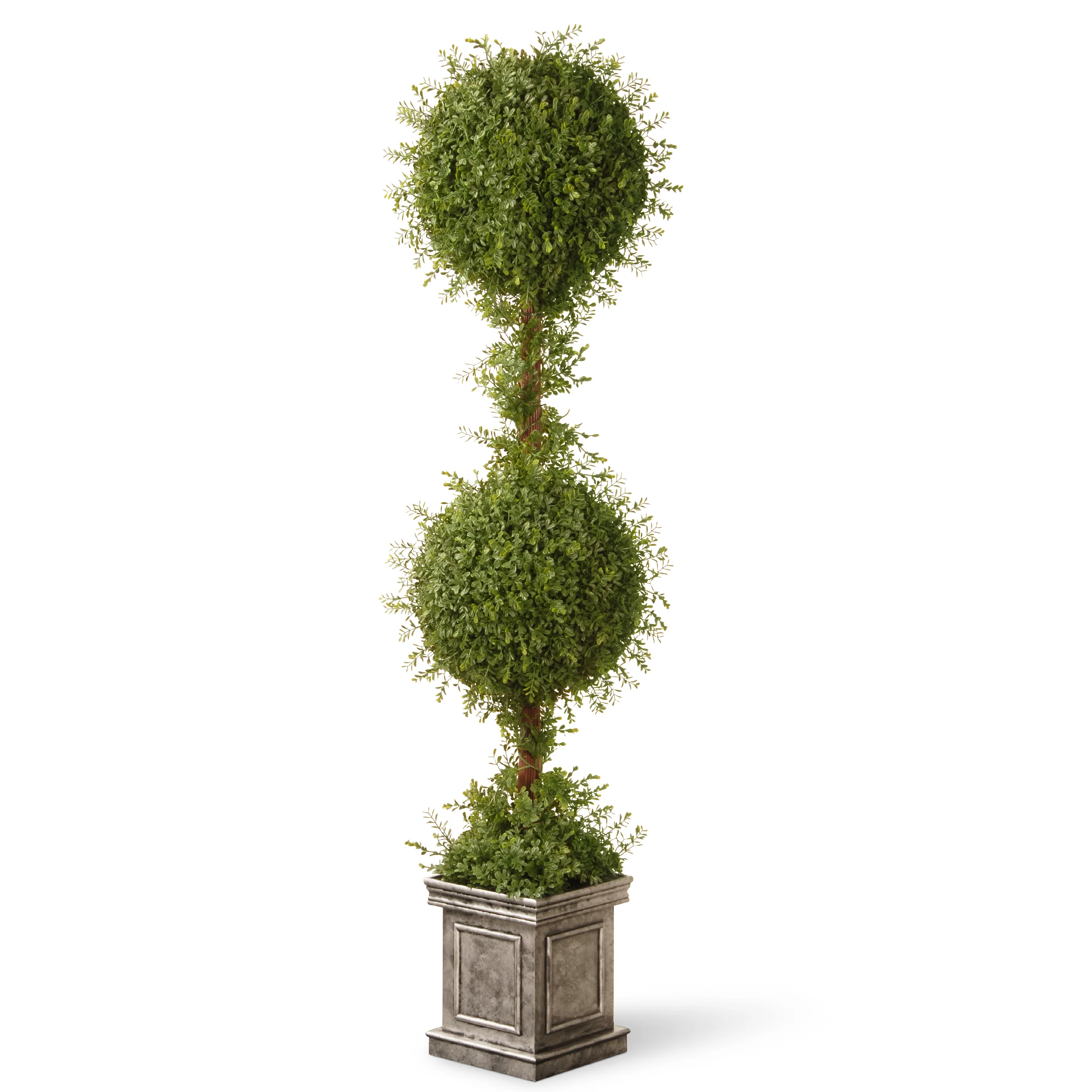 60 in. Mini Tea Leaf 2 Ball Topiary in a Silver Square Pot