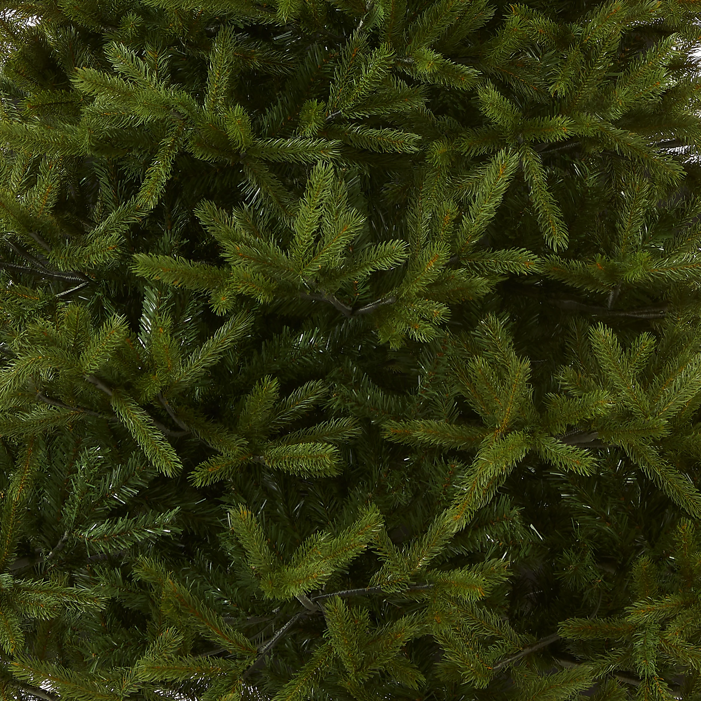 7.5 ft. Norway Fir Tree - Image 4