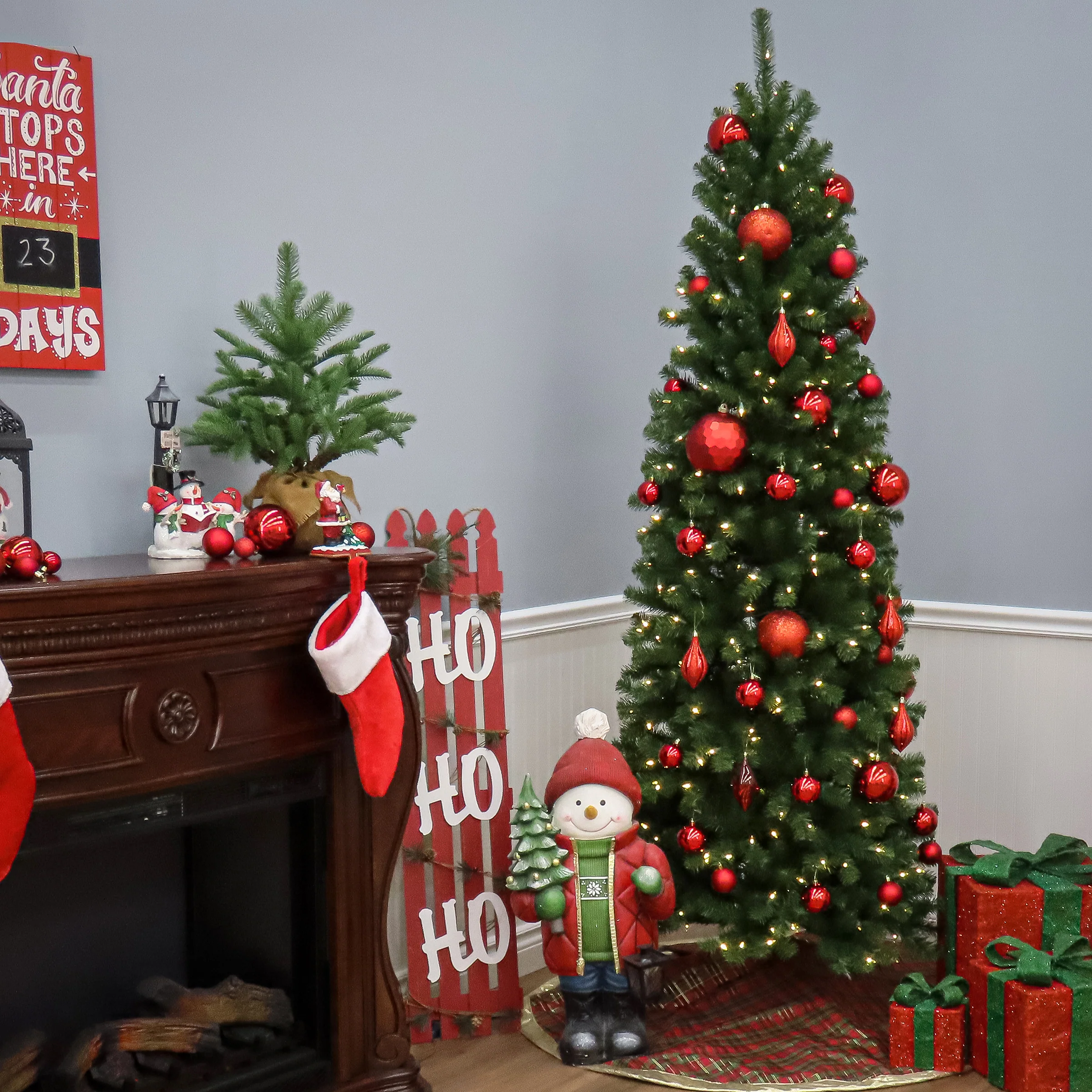 7 ft. North Valley Spruce Pencil Slim Tree - Image 5