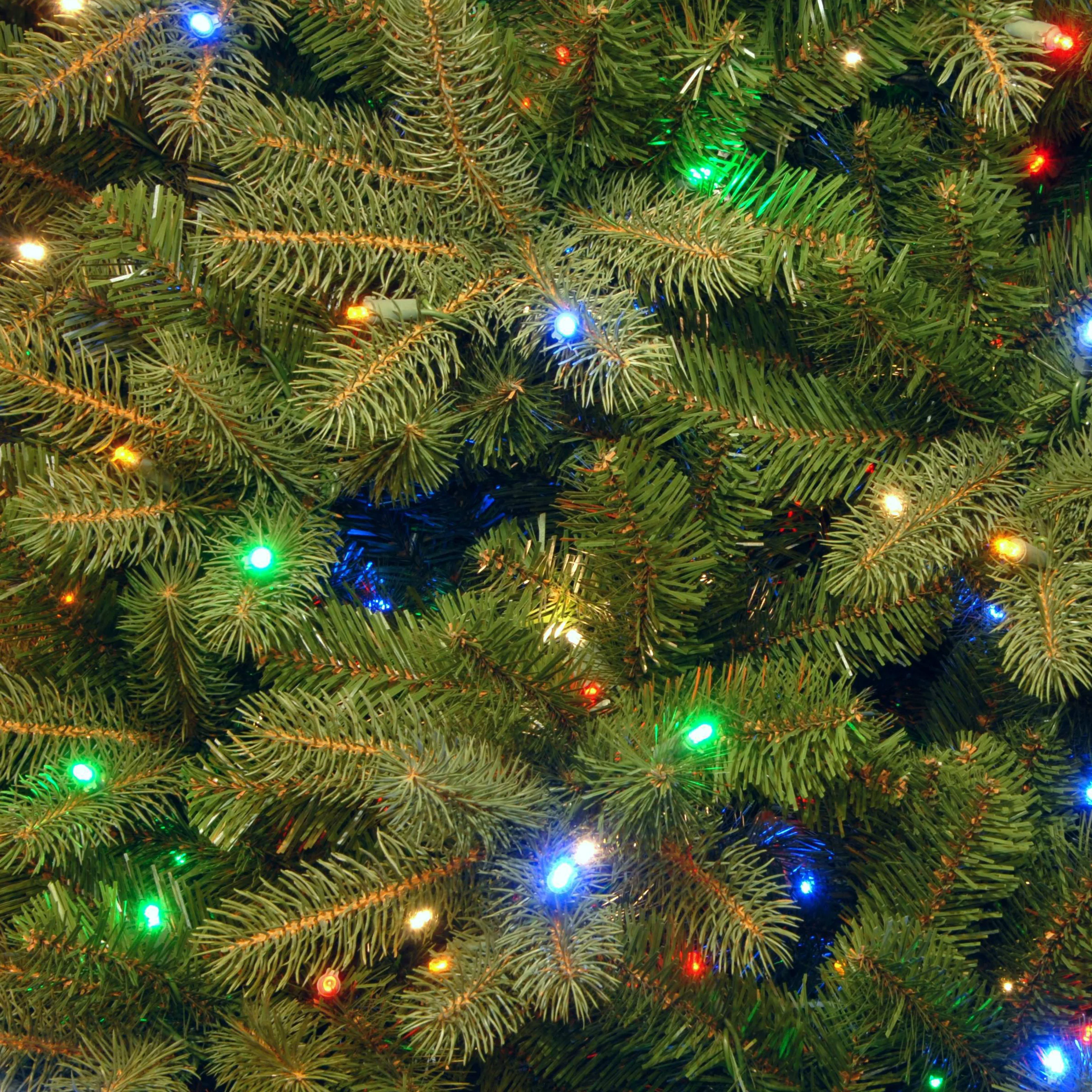 9 ft. Pre-Lit Downswept Douglas Fir Tree with Dual Color LED Lights, Plug-In - Image 4