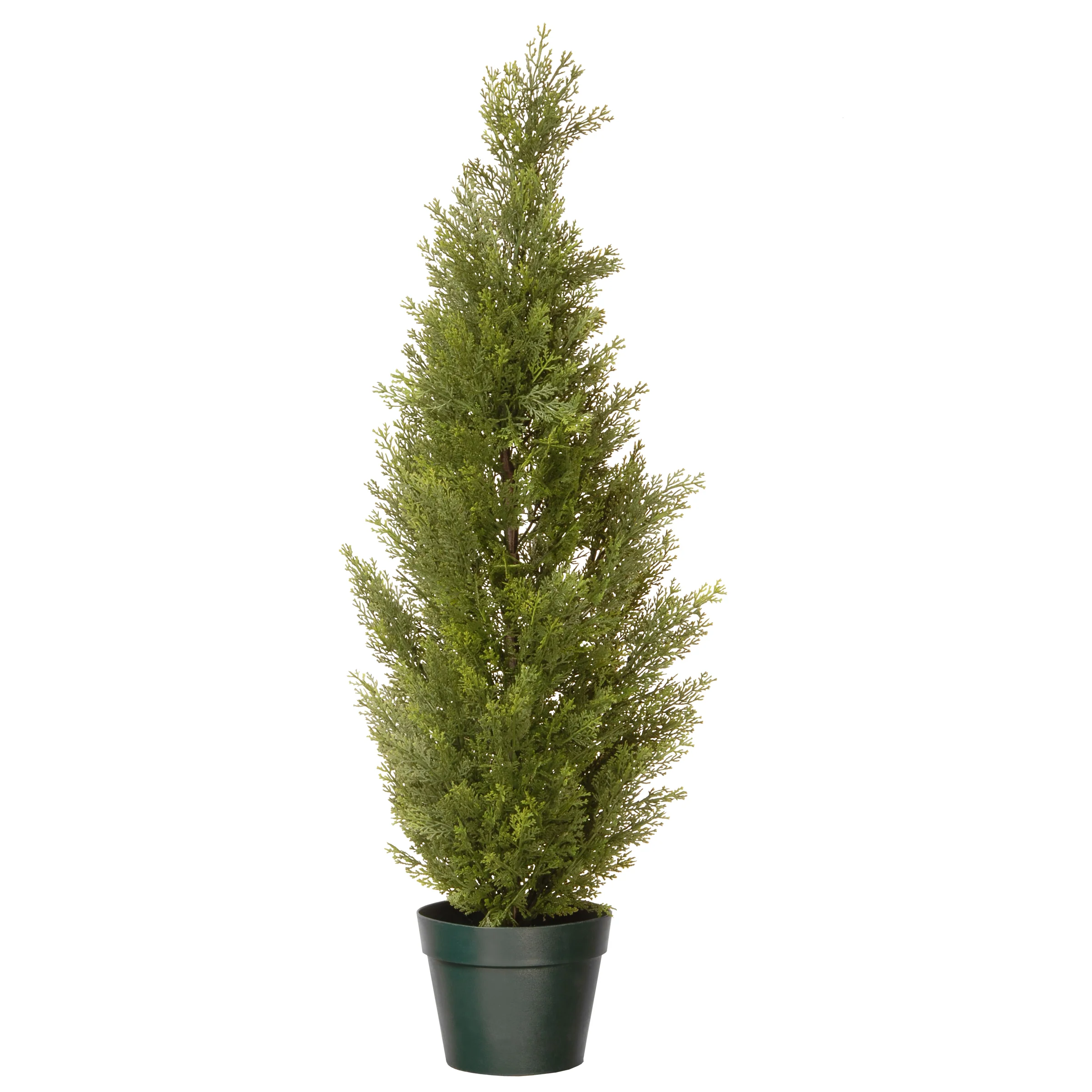 36 in. Arborvitae Topiary Tree in Dark Green Round Growers Pot