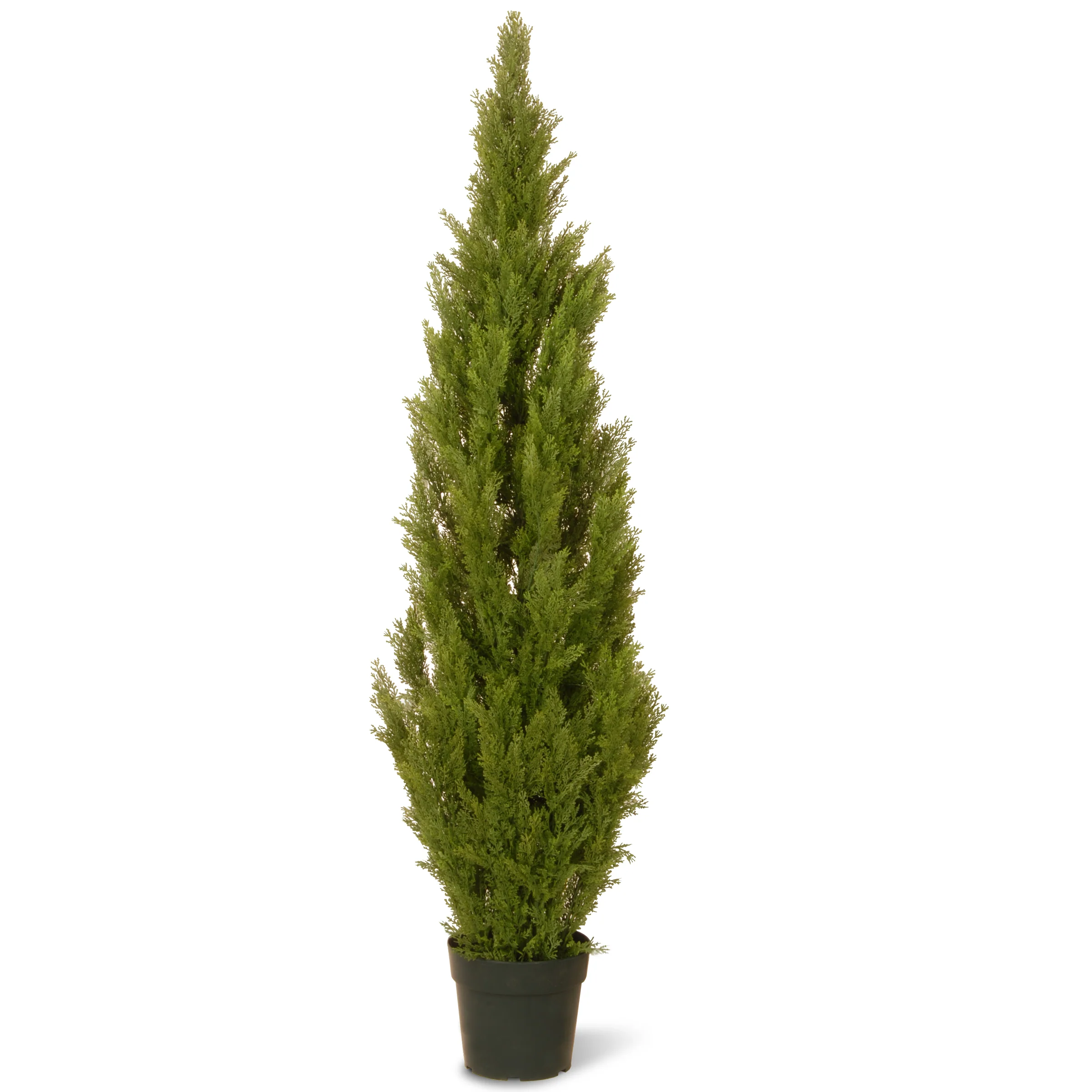 60 in. Arborvitae Topiary Tree in Dark Green Round Growers Pot