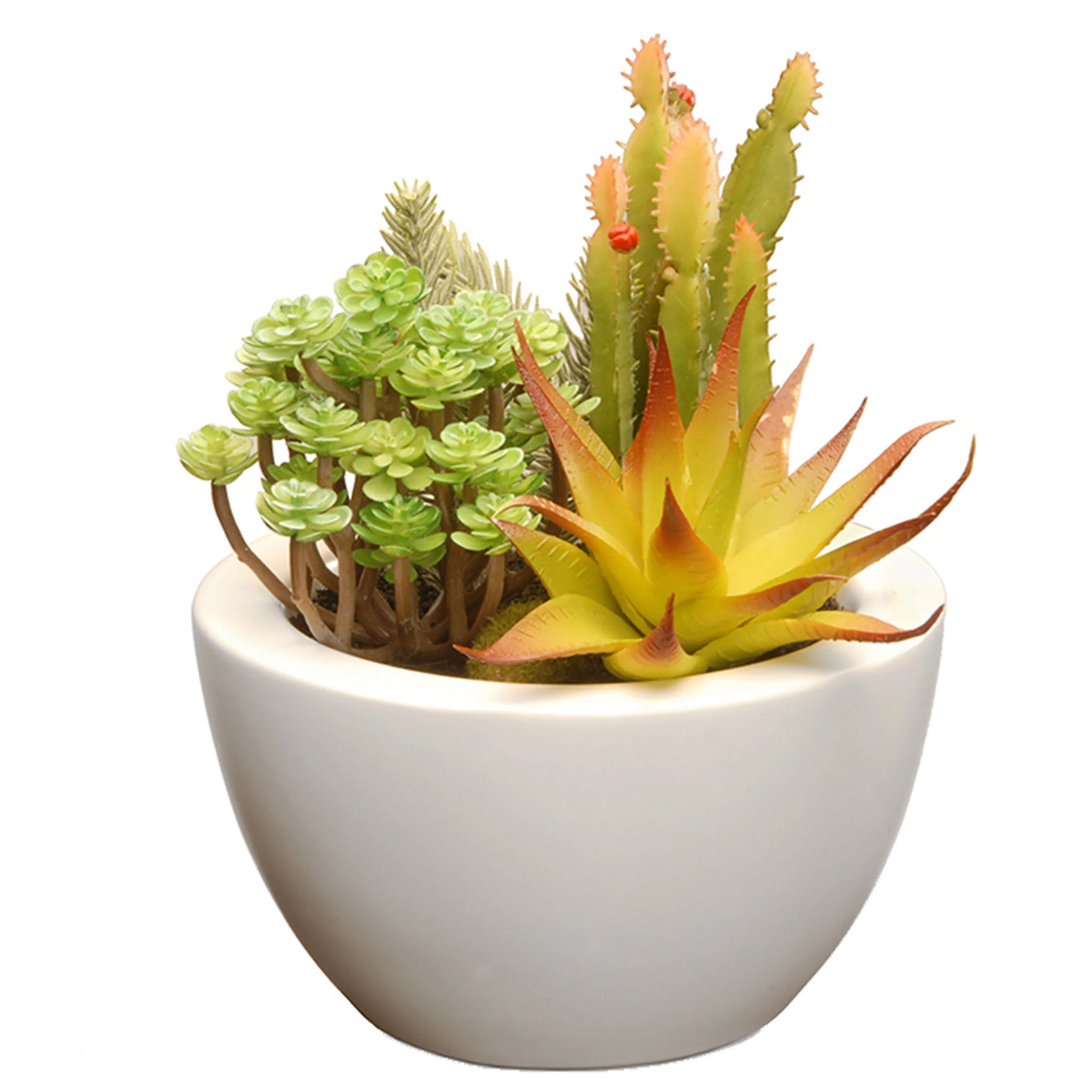 Spring Decor on Sale