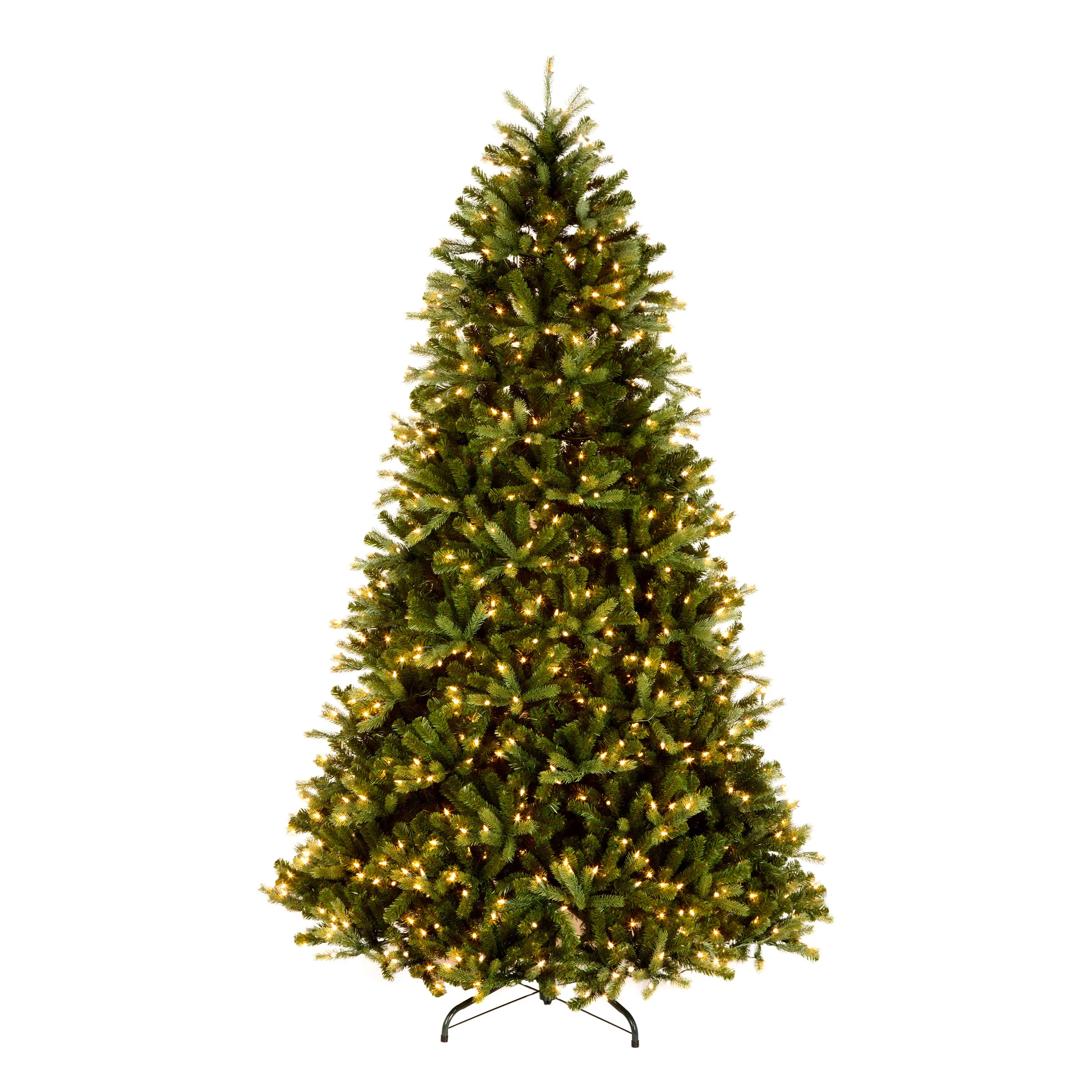 Jersey Fraser Fir Medium Trees - Image 2
