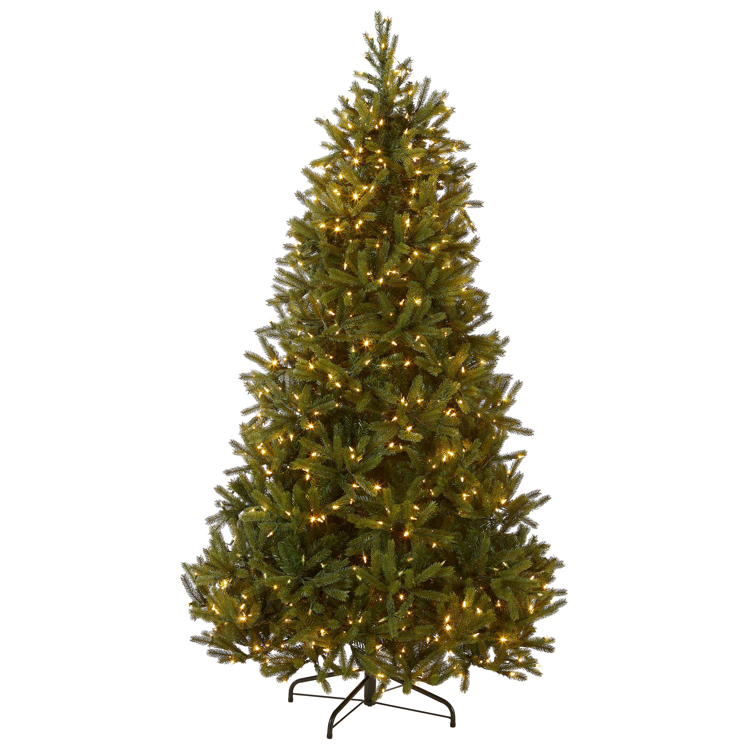 Jersey Fraser Fir Medium Trees - Image 4