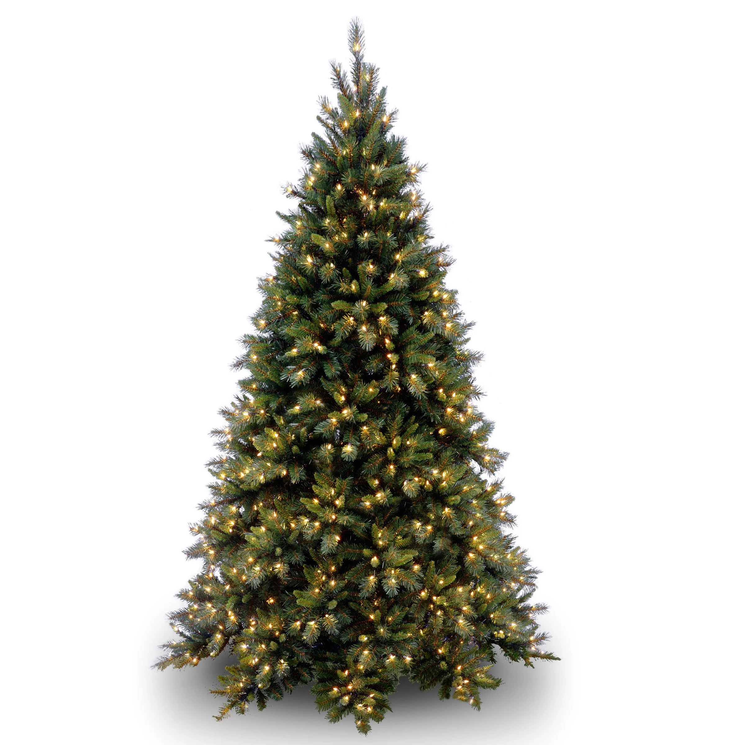 Tiffany Fir Medium Trees