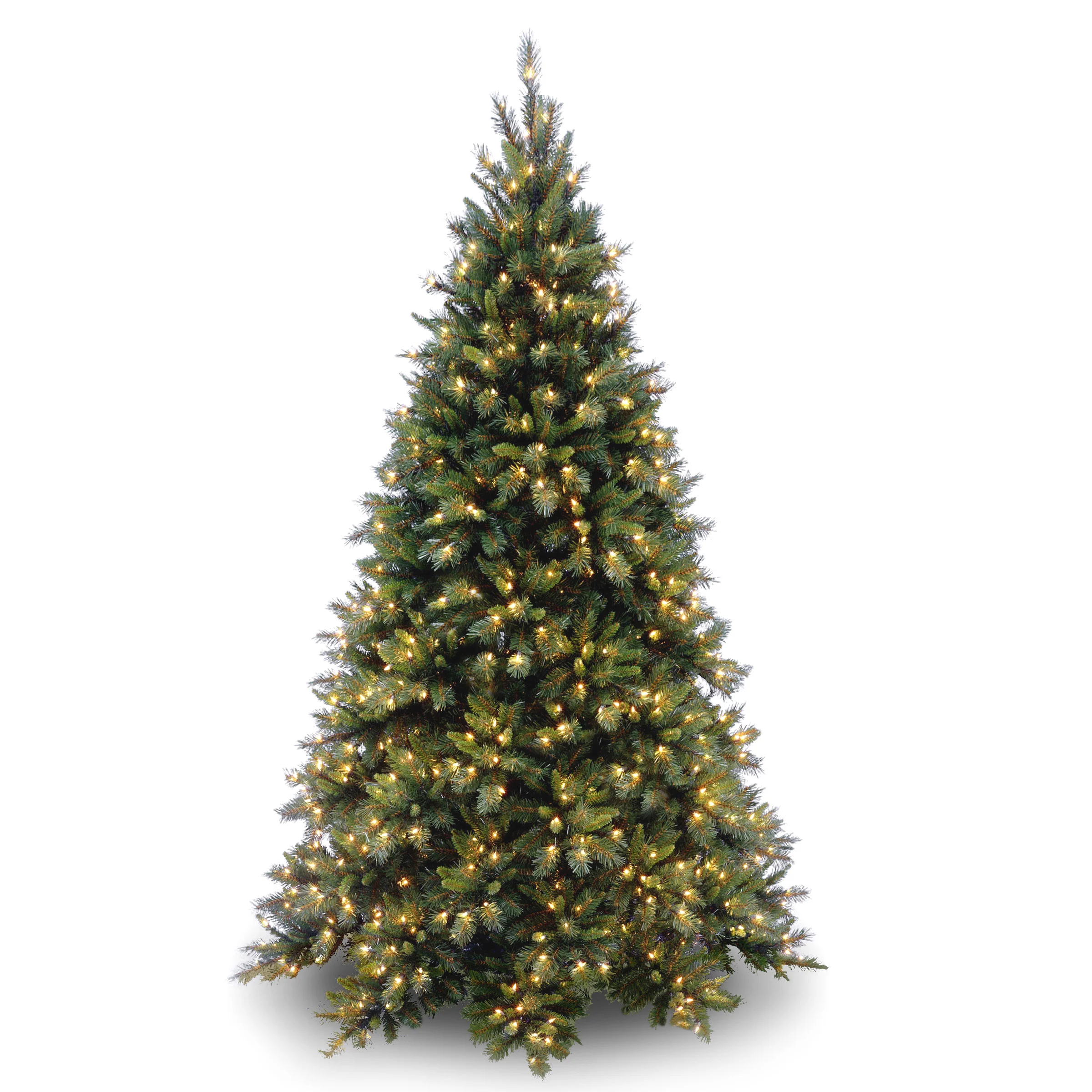 Tiffany Fir Medium Trees - Image 2