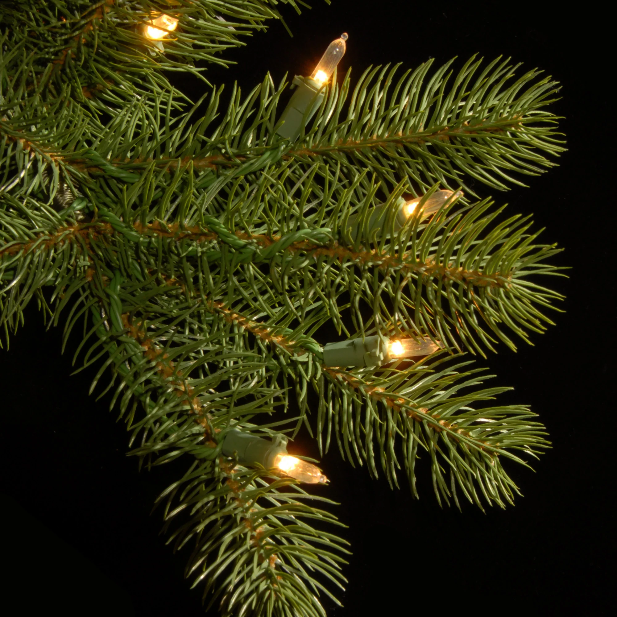 10 ft. Pre-Lit Douglas Fir Giant Tree with Warm White LED Lights - Image 4
