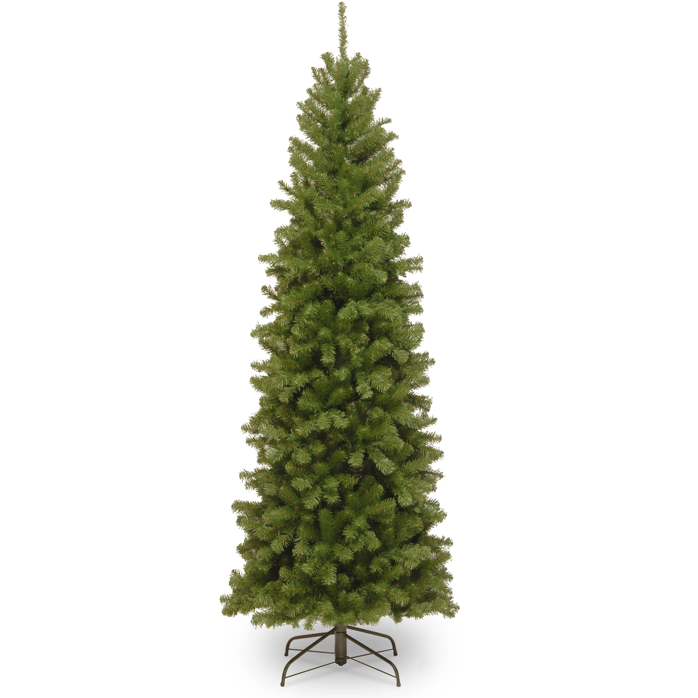 North Valley Spruce Pencil Slim Trees - Image 7