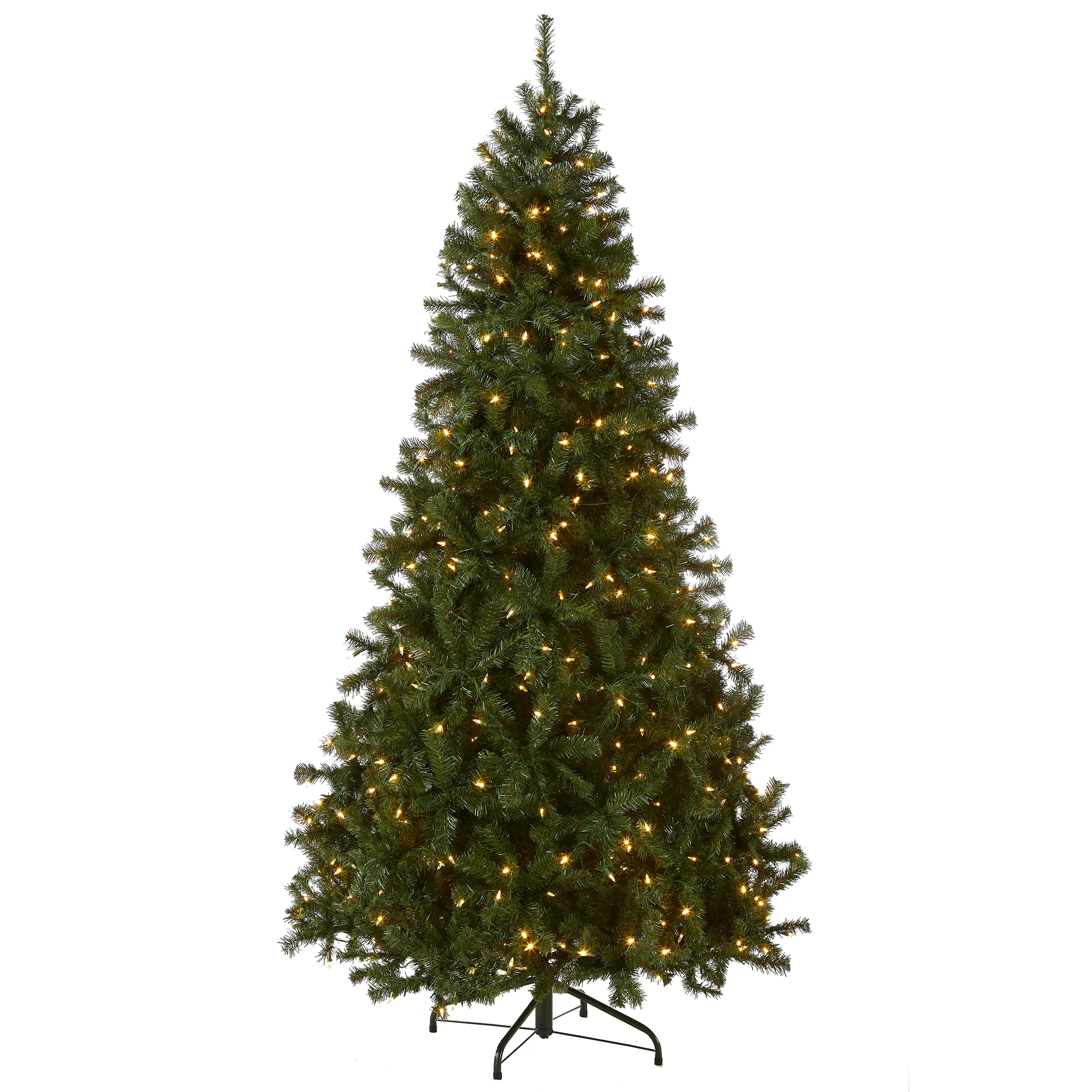 North Valley Spruce Trees - Image 10