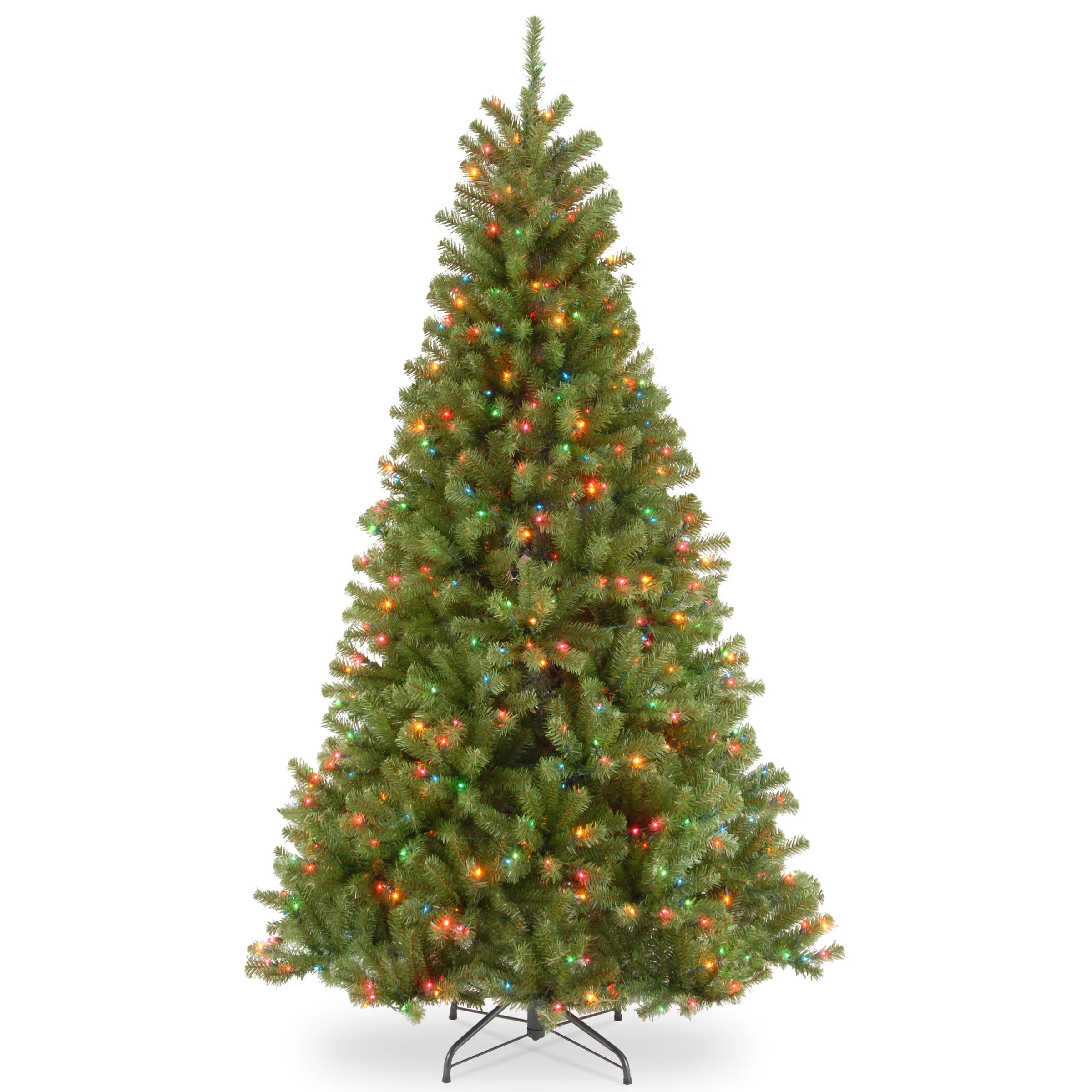 North Valley Spruce Trees - Image 14