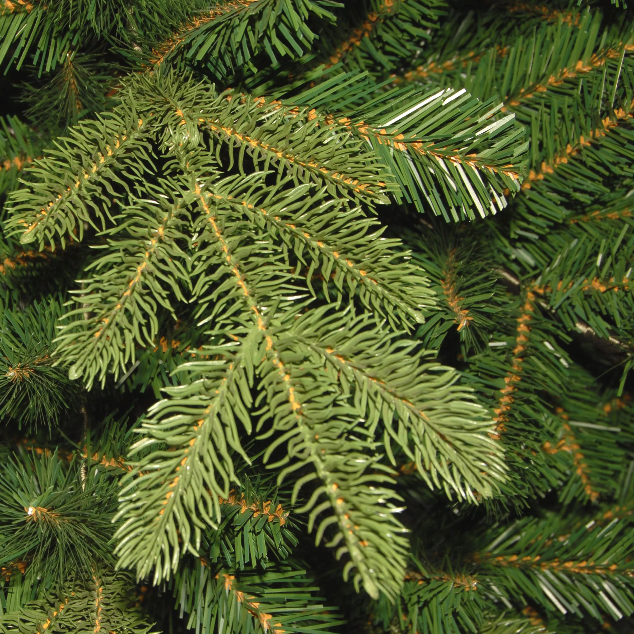 7.5 ft. Norwegian Spruce Tree with Clear Lights - Image 3